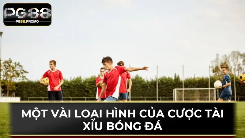 Những loại hình cược túc cầu mà hội viên cần được biết