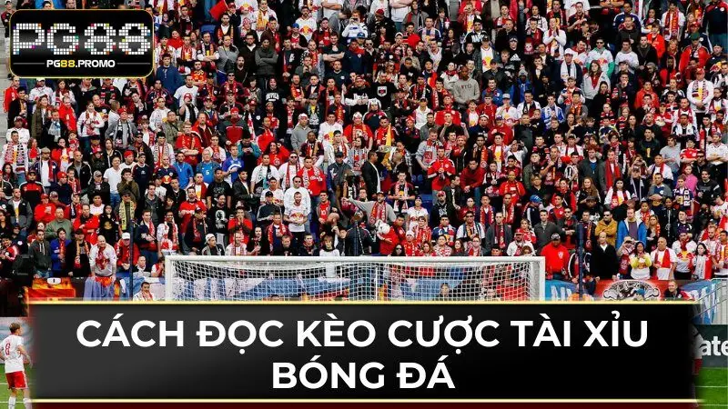 Làm thế nào để trở thành “master” đọc kèo hay nhất?