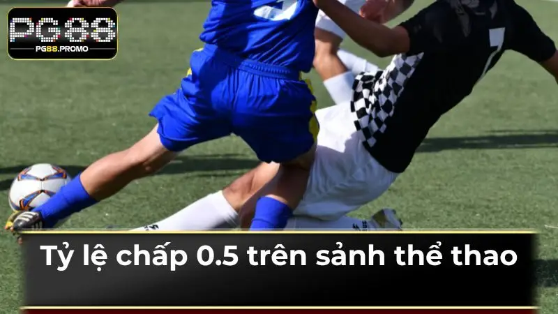 Kèo Handicap chấp nửa trái trên sảnh thể thao